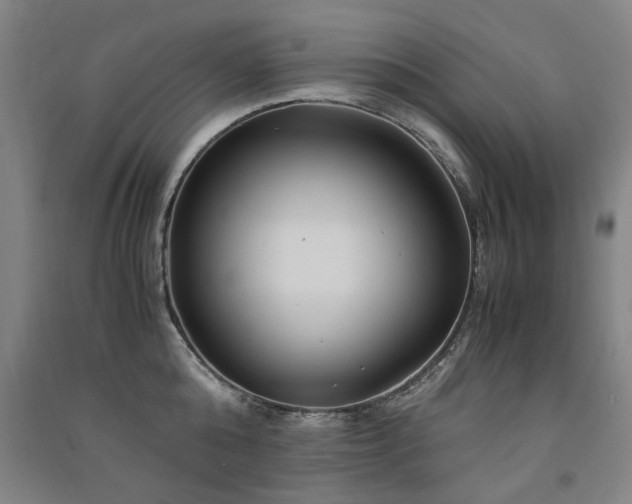 X0000091490808200708161437