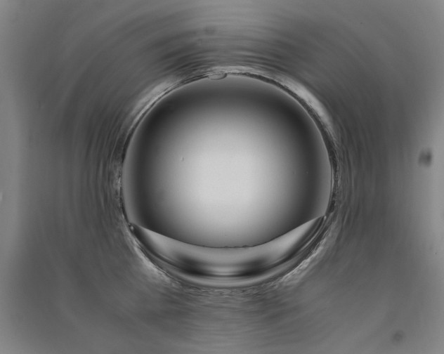 X0000091490809200708161437