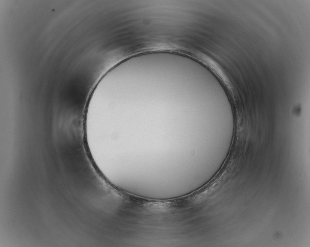X0000091490810200708161437