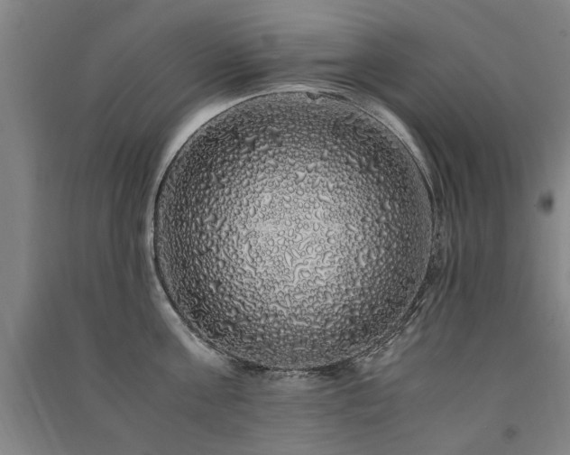 X0000091490811200708161437