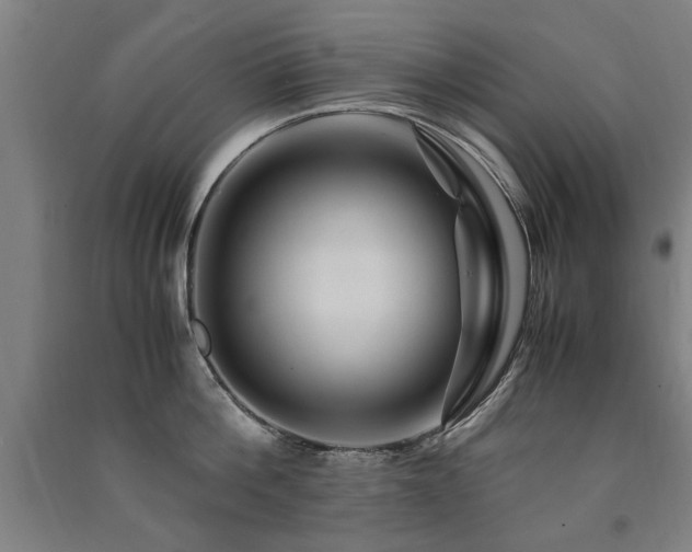 X0000091490812200708161437