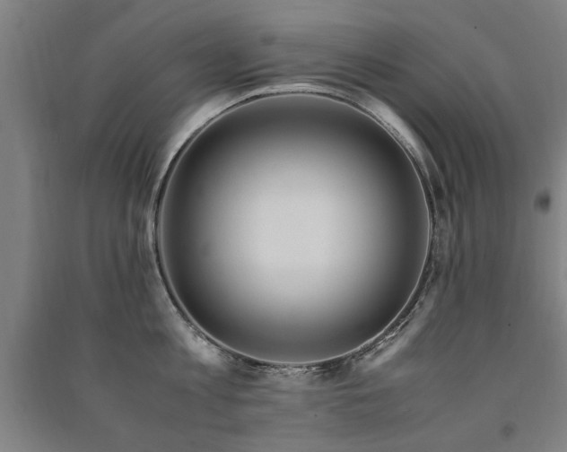 X0000091490813200708161437