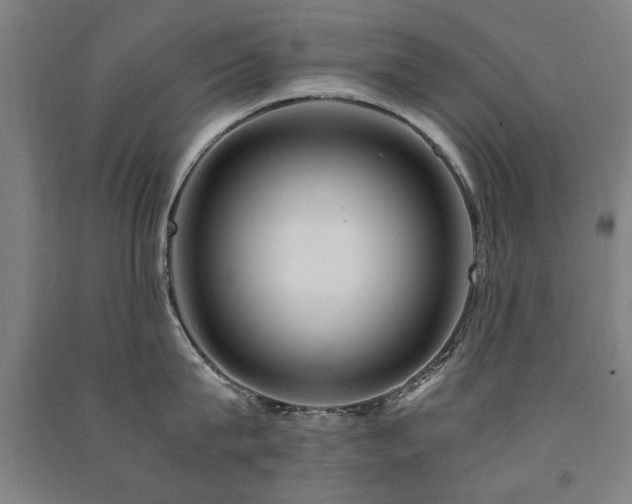 X0000091490815200708161437