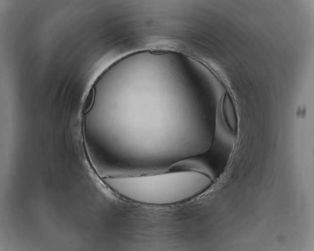 X0000091490816200708161437