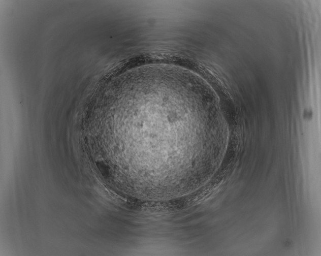 X0000091490817200708161436