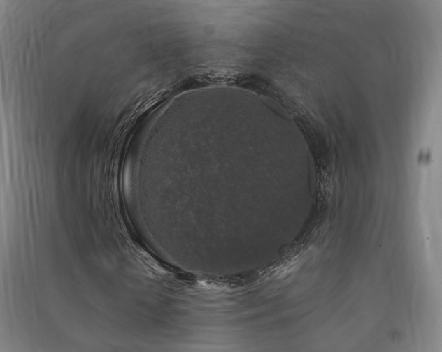 X0000091490818200708161436