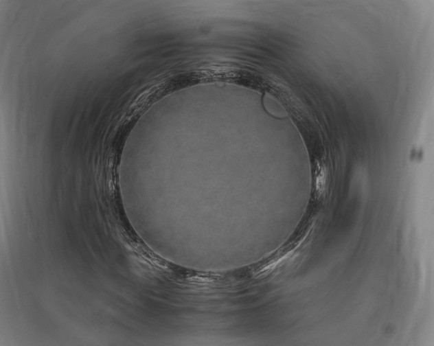 X0000091490819200708161436