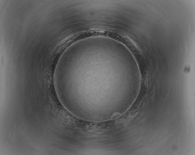 X0000091490821200708161436