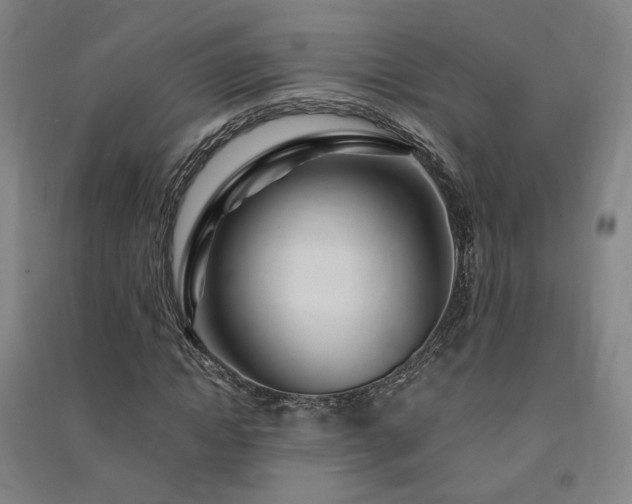 X0000091490822200708161436