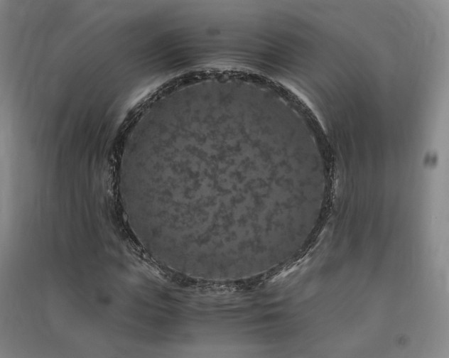 X0000091490823200708161436