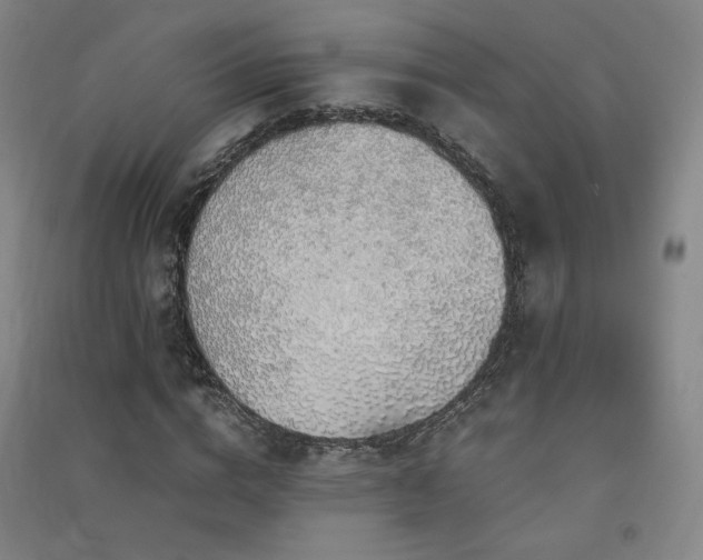 X0000091490824200708161436