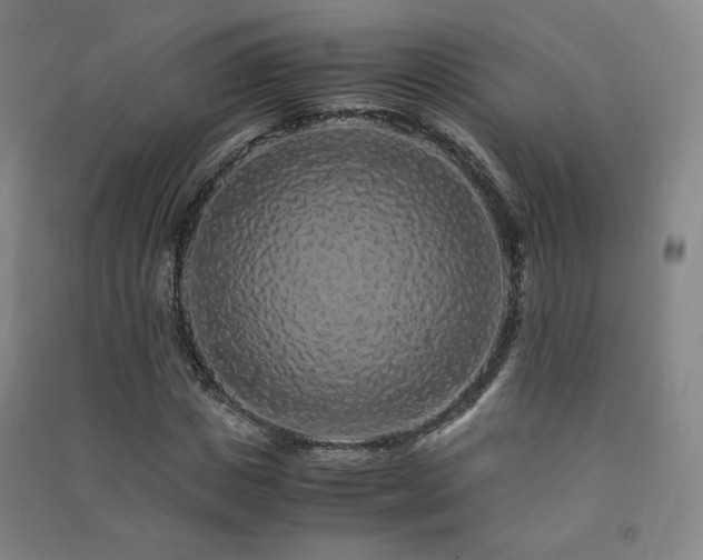 X0000091490825200708161436