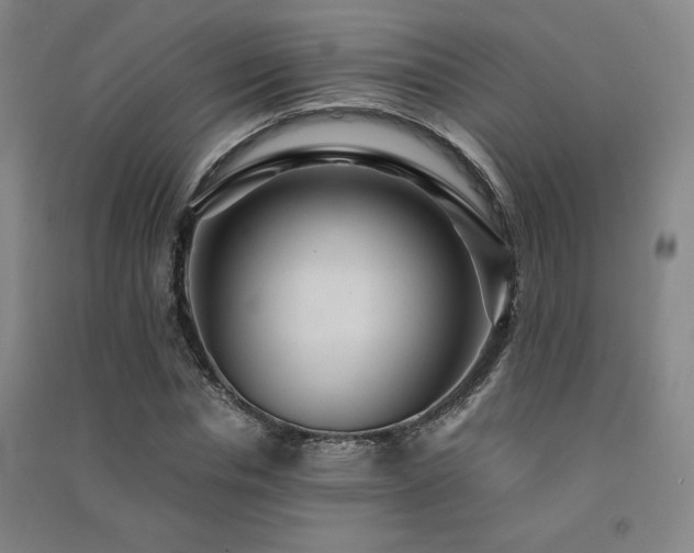 X0000091490826200708161436