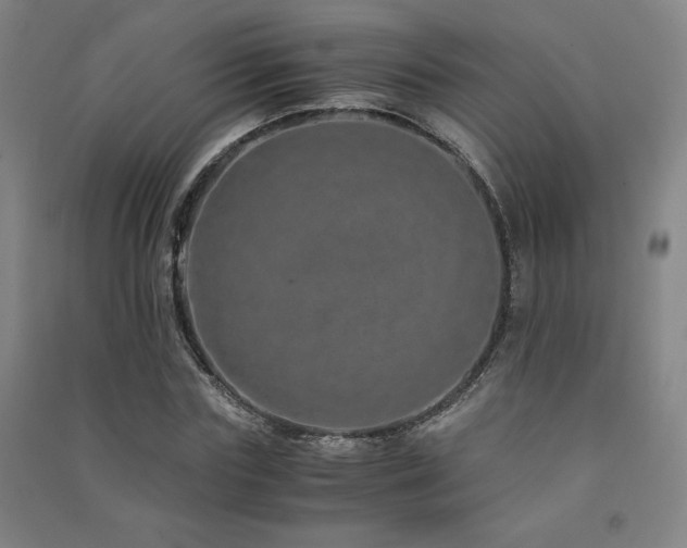 X0000091490827200708161436