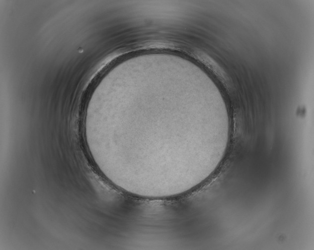 X0000091490828200708161437