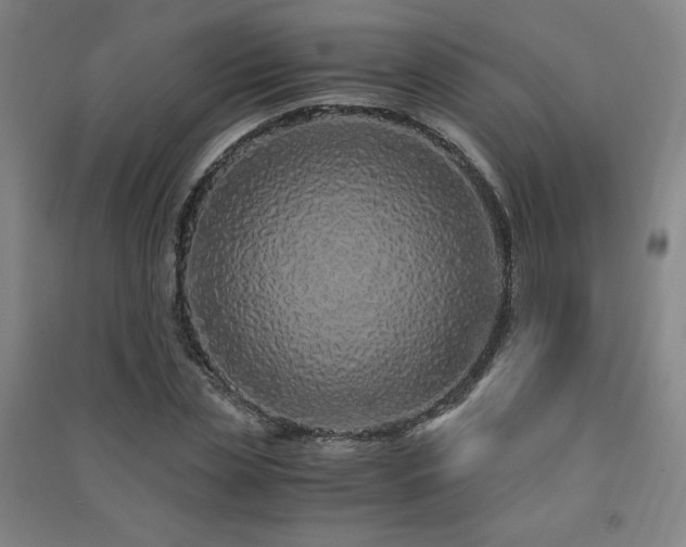 X0000091490829200708161437