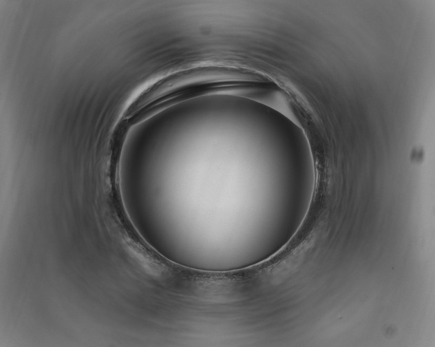 X0000091490830200708161437