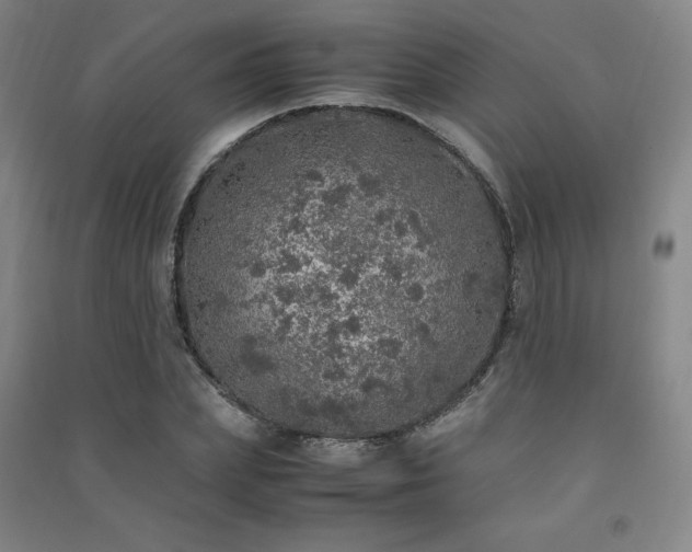 X0000091490831200708161437