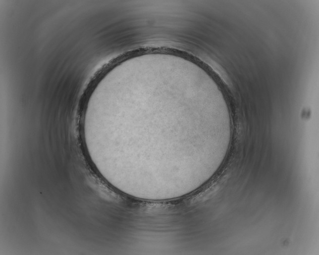 X0000091490832200708161437