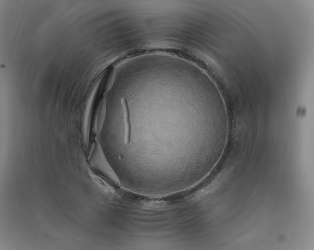 X0000091490833200708161437
