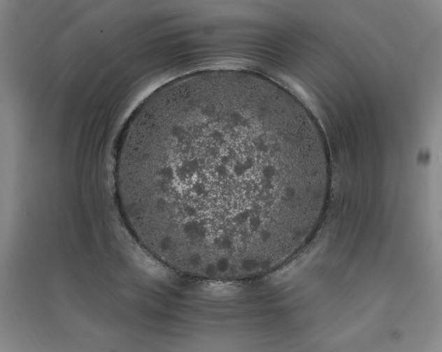 X0000091490835200708161437