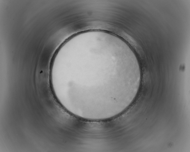 X0000091490836200708161437