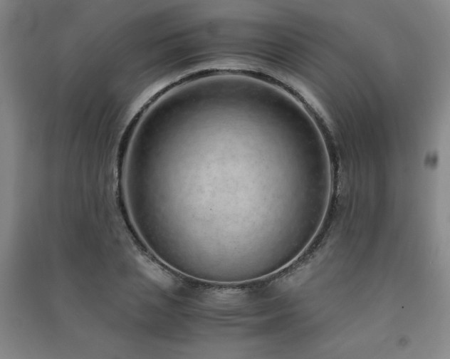 X0000091490837200708161437