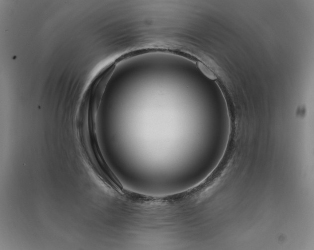 X0000091490838200708161437