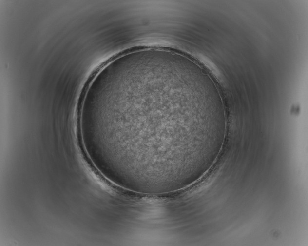 X0000091490840200708161437