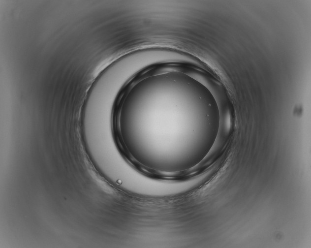 X0000091490842200708161437