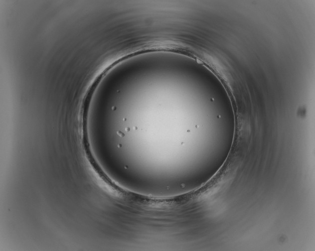 X0000091490843200708161437