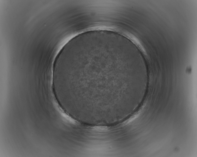 X0000091490844200708161437