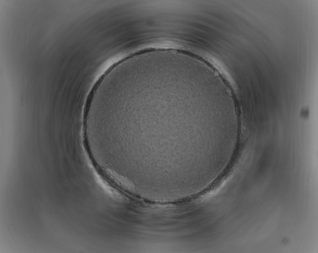 X0000091490845200708161437