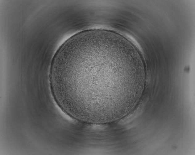 X0000091490847200708161437