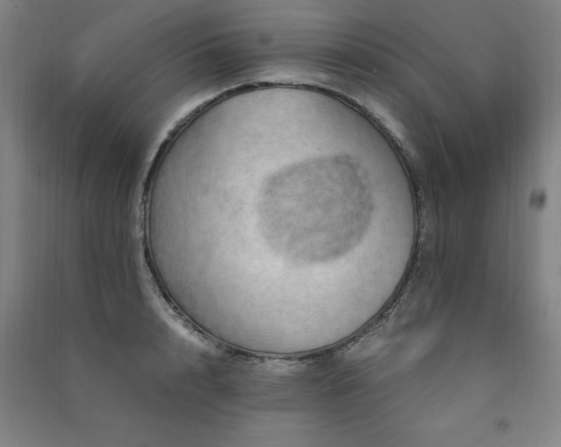 X0000091490848200708161437