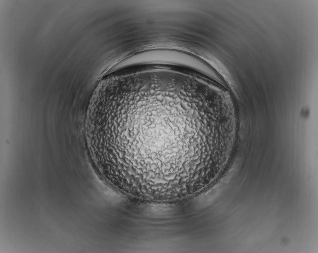 X0000091490849200708161437