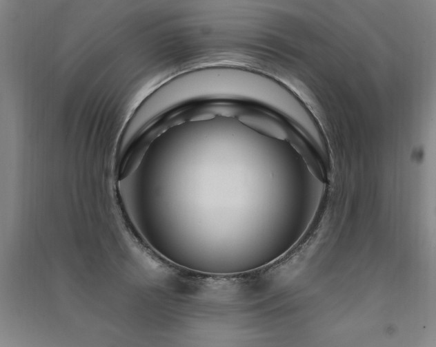 X0000091490850200708161437