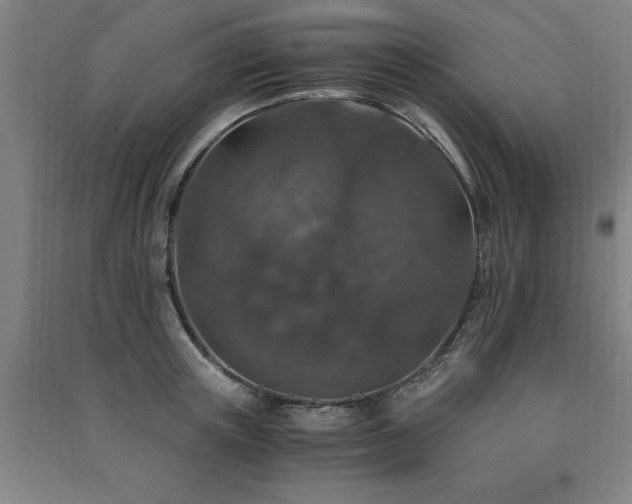 X0000091490851200708161437