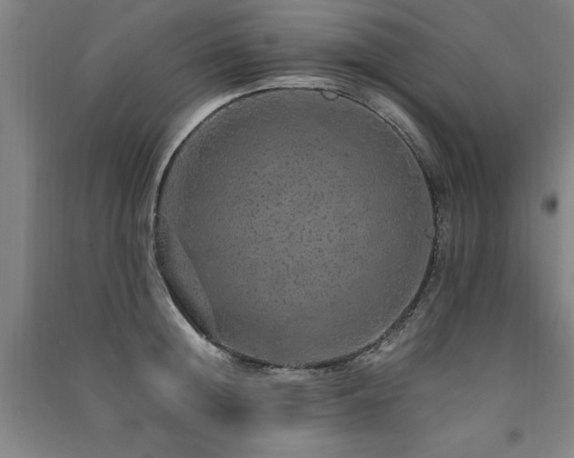 X0000091490852200708161437