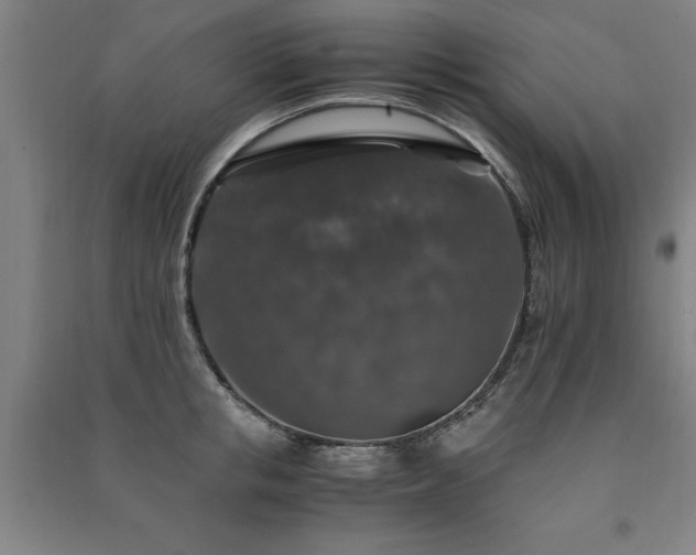 X0000091490853200708161437