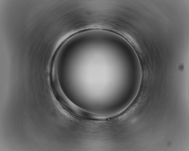 X0000091490854200708161437