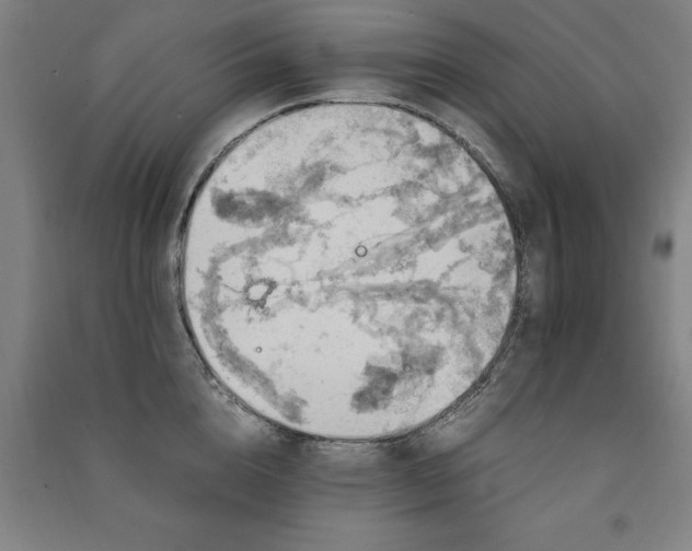 X0000091490856200708161437