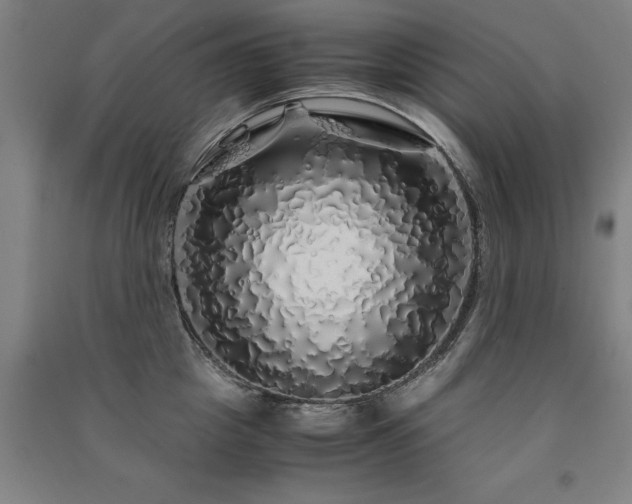 X0000091490857200708161437