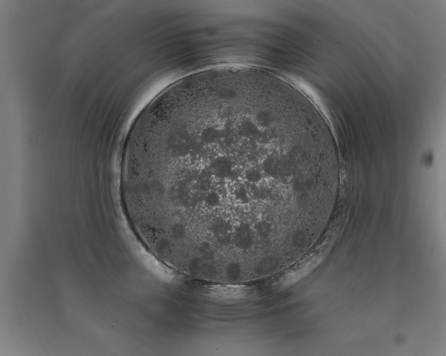 X0000091490859200708161437