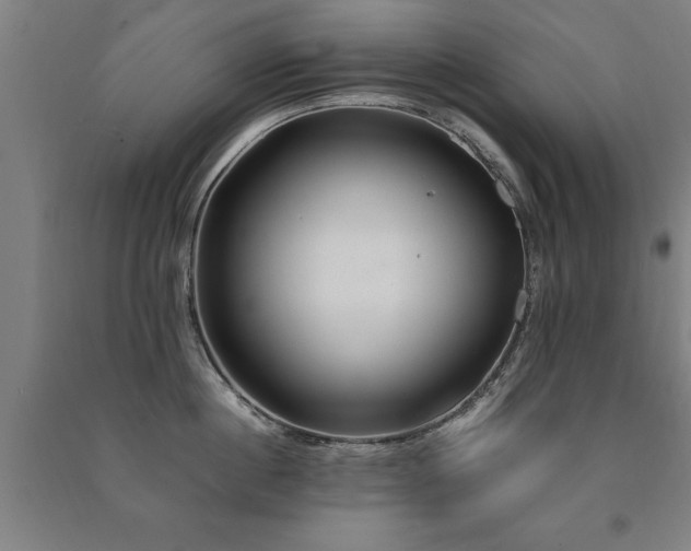 X0000091490860200708161437