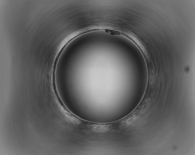 X0000091490861200708161437