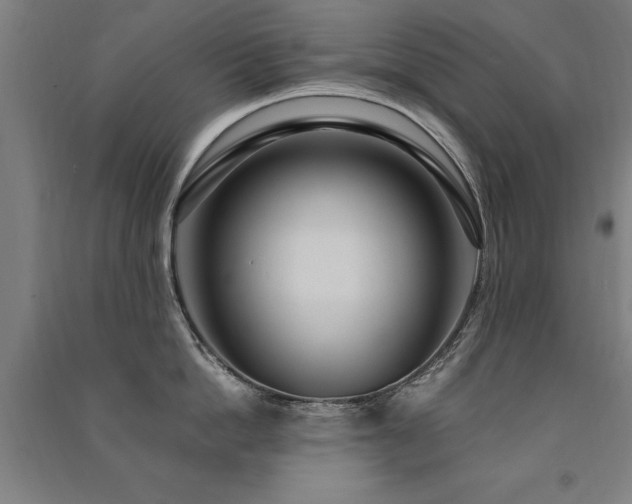 X0000091490862200708161437