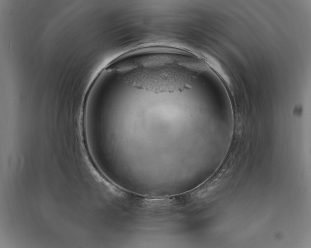 X0000091490863200708161437