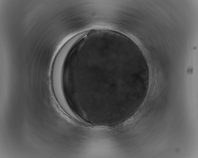 X0000091490864200708161437