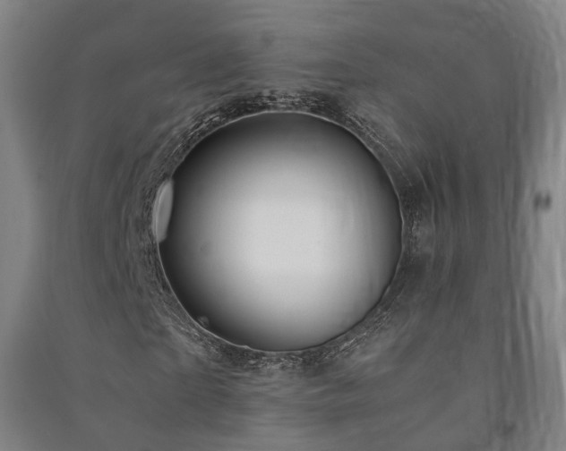 X0000091490865200708161436